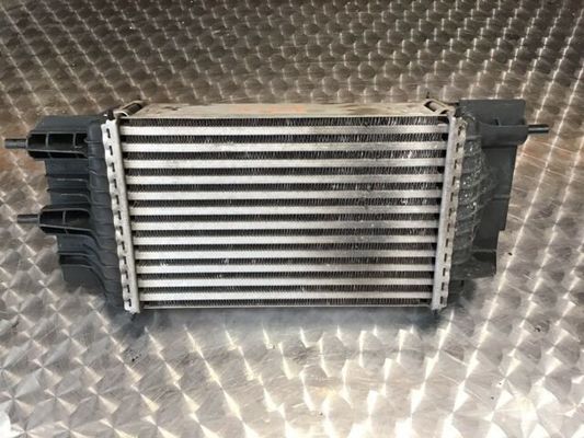 الرقم المرجعي 8095055 Inter Cooler Assy لنيسان جوك 1.6L I4 AT TBO 2016 14461-1KB2A